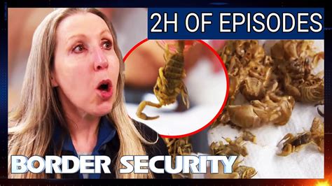 boarder secutiry fake bag which episode|border security full episodes free.